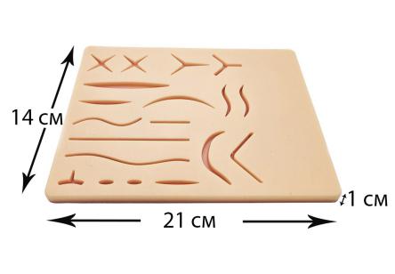 Купить Тренажер хирургический для наложения швов 21*14 см 3-х слойный (19 разрезов) Retorsa