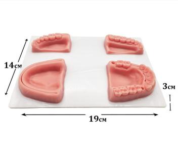 Тренажер для наложения швов в полости рта Retorsa