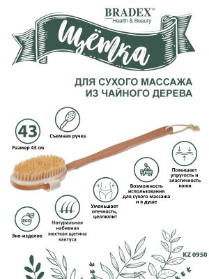 Щетка для сухого массажа из чайного дерева с щетиной из кактуса со съемной ручкой 43 см KZ 0950